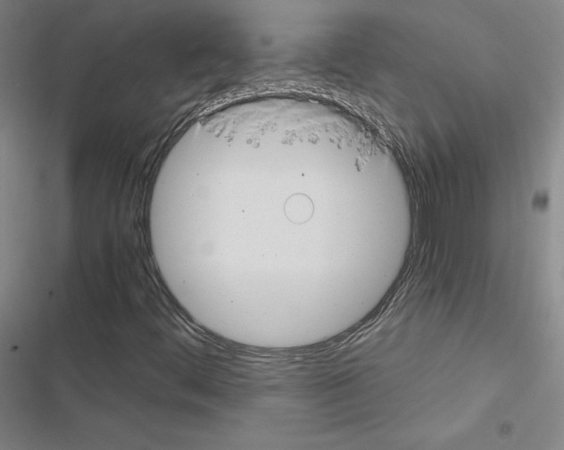 X0000116481444201001201332