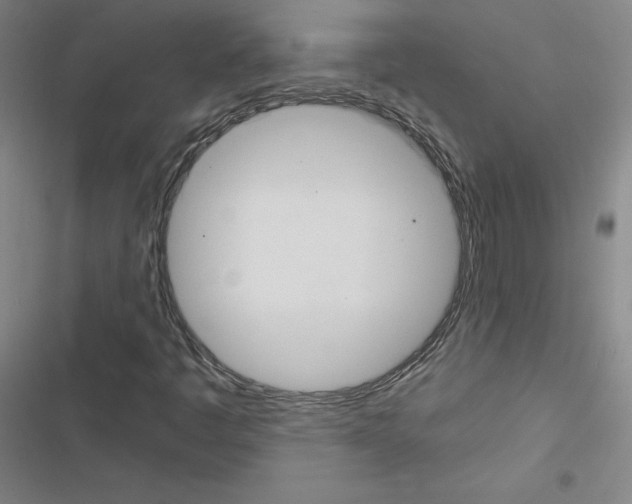 X0000116481445201001201332