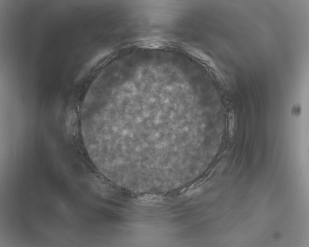 X0000116481446201001201332