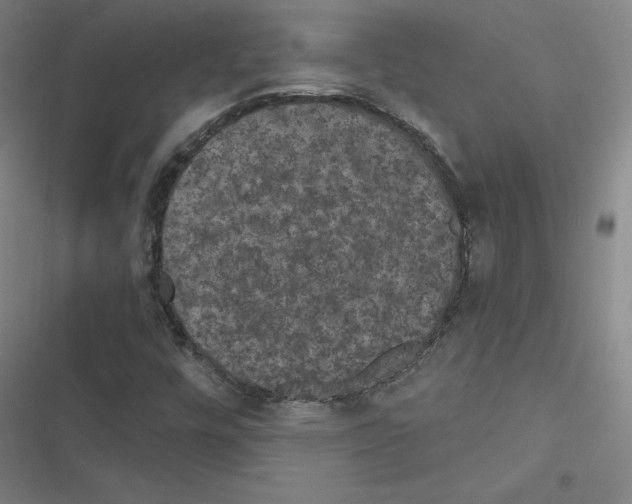 X0000116481448201001201332