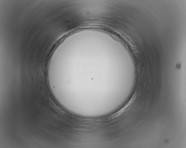 X0000116481449201001201332