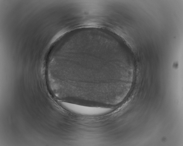 X0000116481450201001201332