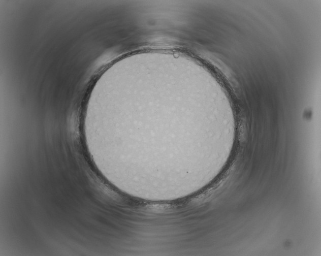 X0000116481451201001201332