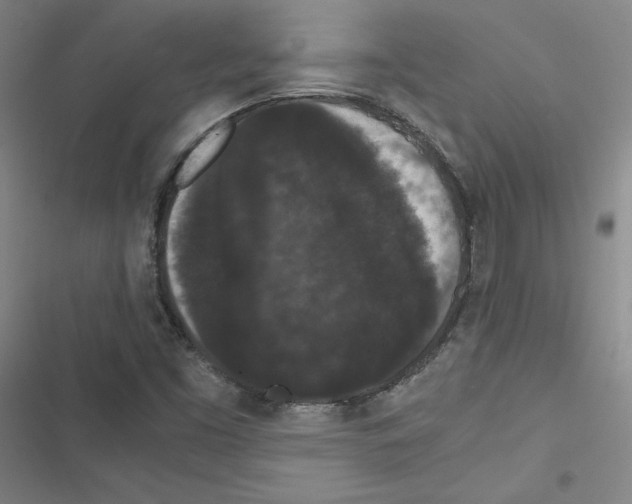 X0000116481453201001201332