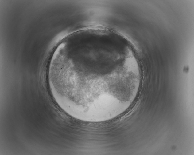 X0000116481455201001201332