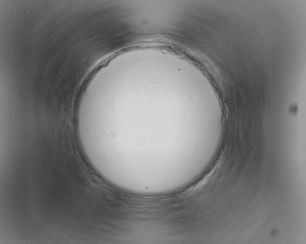 X0000116481457201001201332