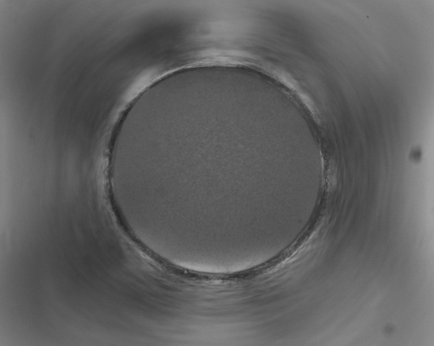 X0000116481459201001201332