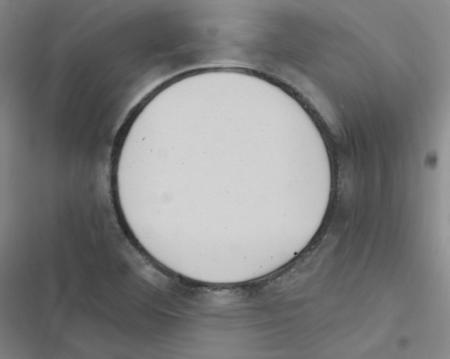 X0000116481460201001201332