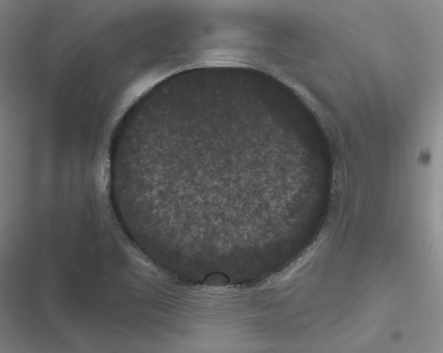 X0000116481461201001201332