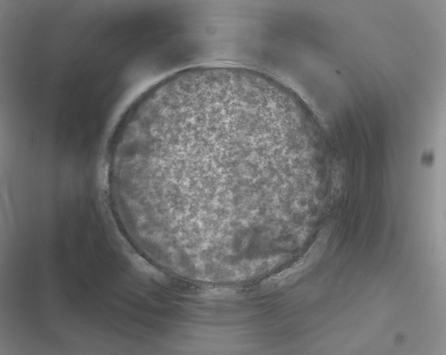 X0000116481462201001201332