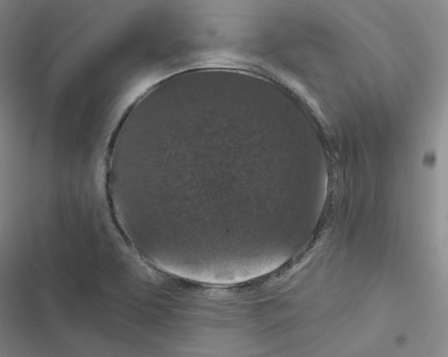 X0000116481463201001201332