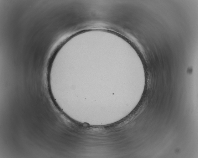 X0000116481464201001201332