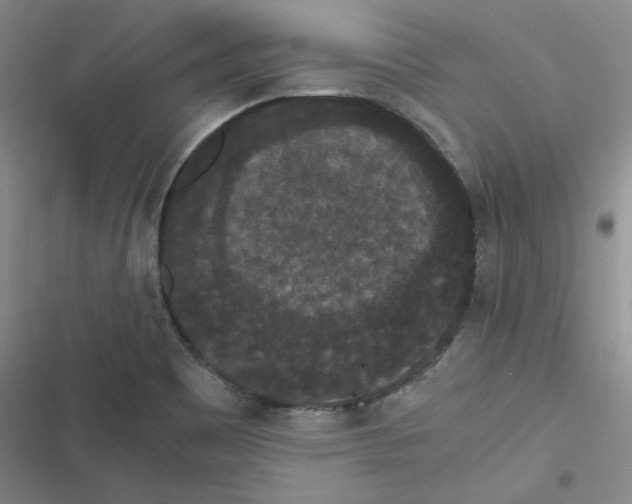 X0000116481465201001201332