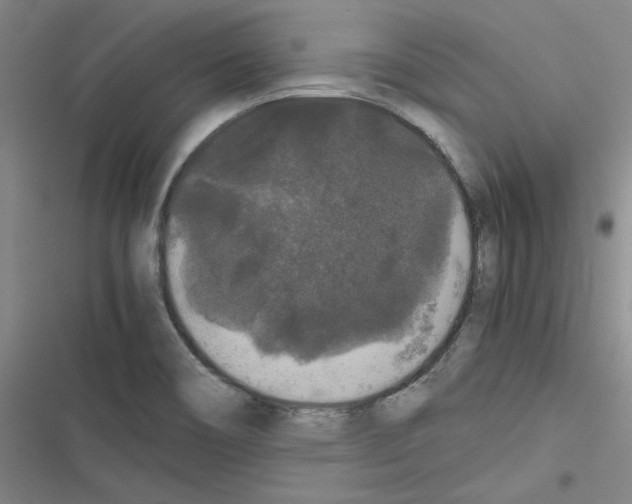 X0000116481466201001201332