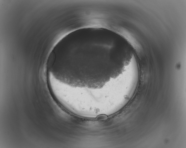 X0000116481468201001201332