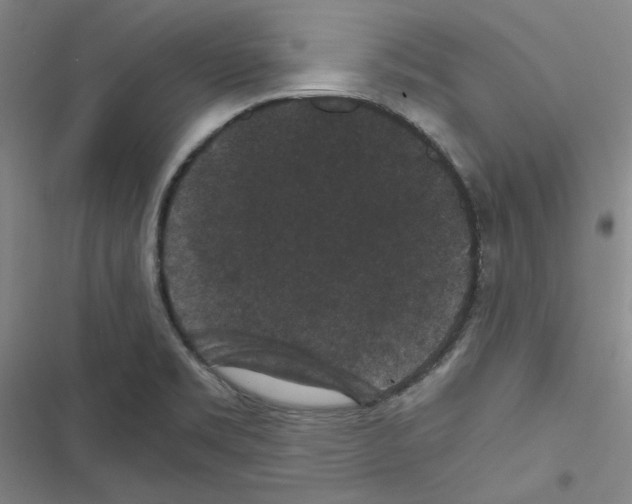 X0000116481469201001201332