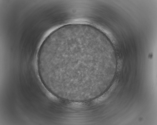 X0000116481470201001201332