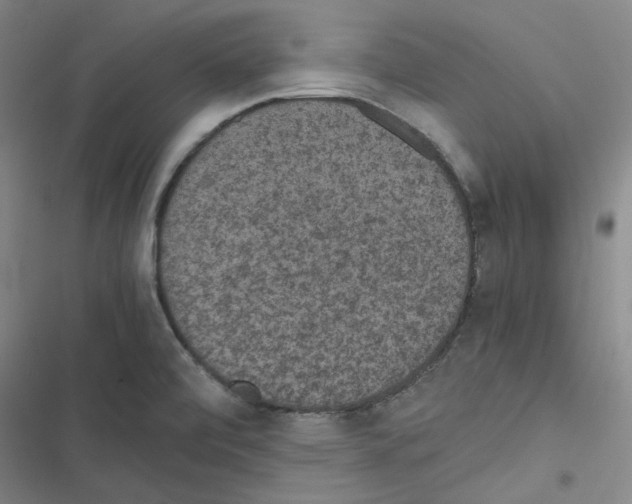 X0000116481472201001201332