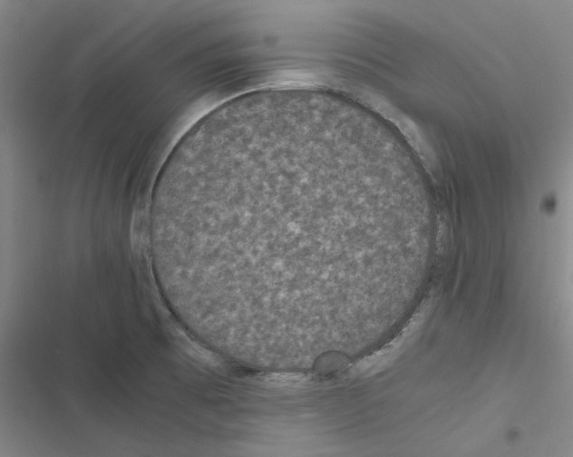 X0000116481473201001201332