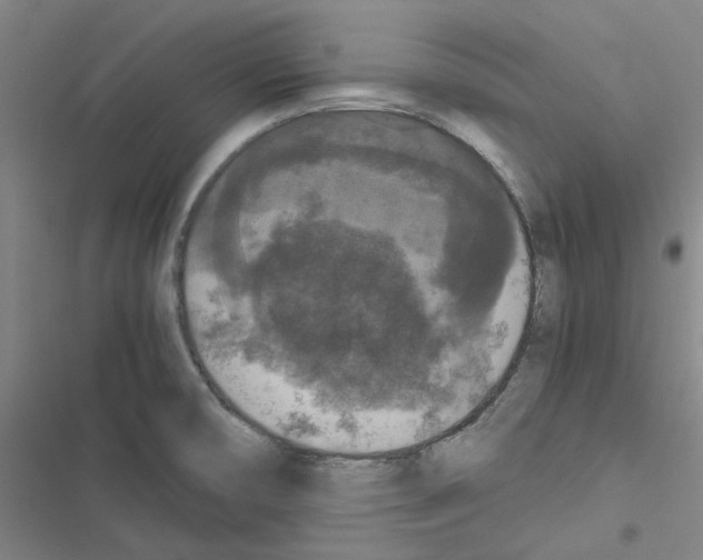 X0000116481474201001201332