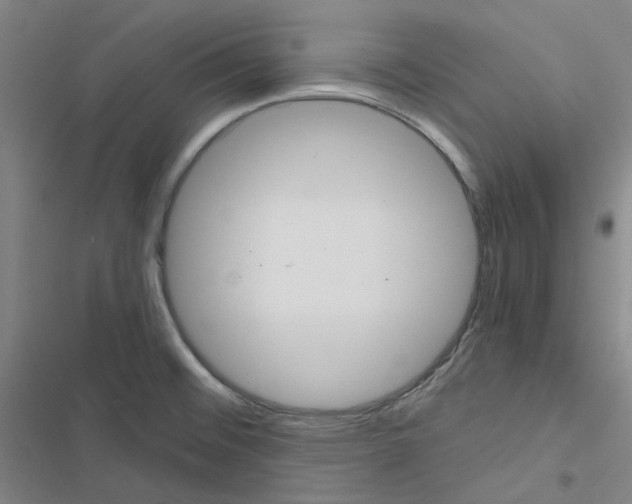 X0000116481476201001201332