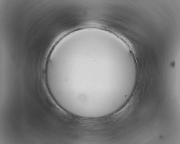 X0000116481477201001201332