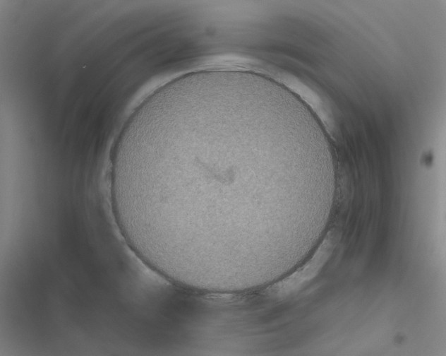 X0000116481478201001201332