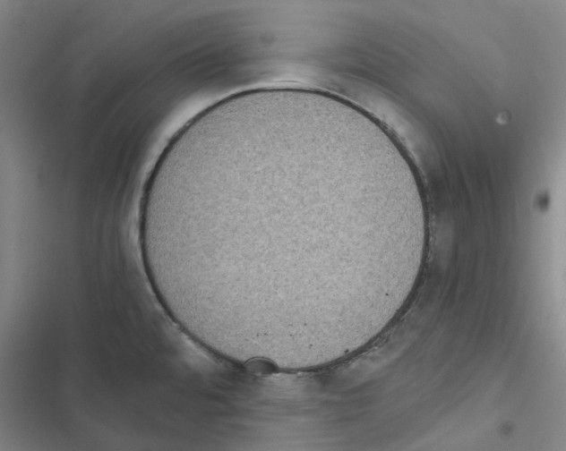 X0000116481480201001201332