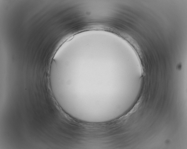 X0000116481481201001201332