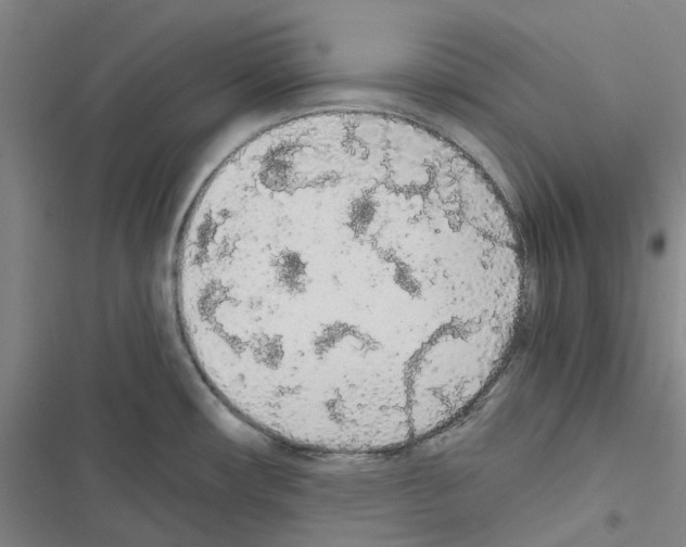 X0000116481482201001201332