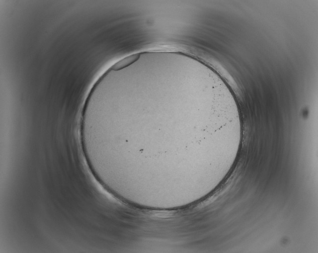 X0000116481484201001201332