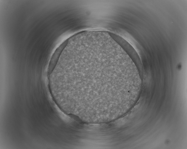 X0000116481485201001201332