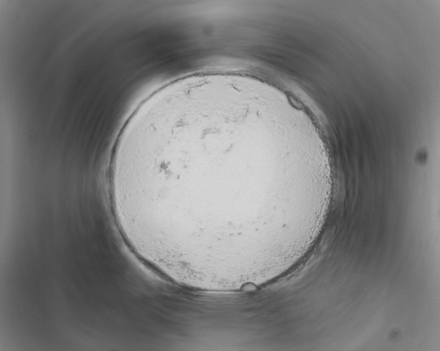 X0000116481487201001201332