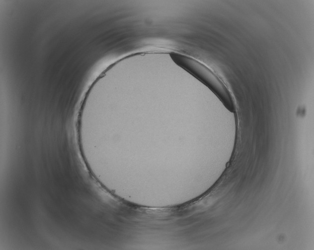 X0000116481488201001201332