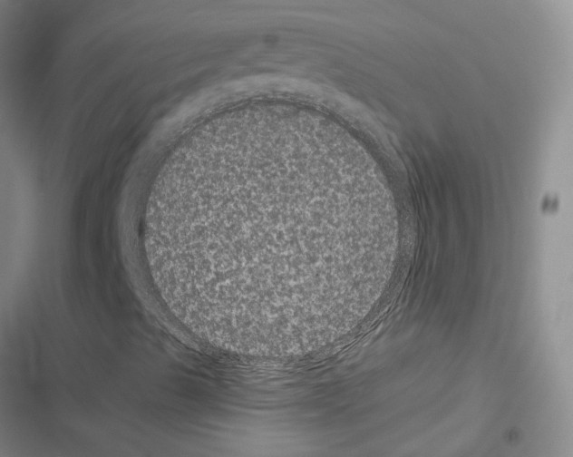 X0000116481489201001201331