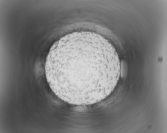 X0000116481491201001201331