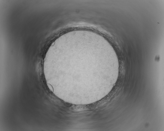 X0000116481493201001201331