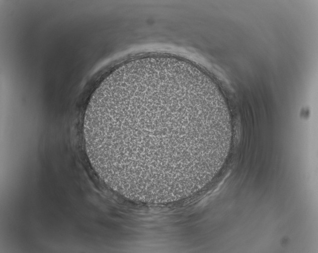 X0000116481494201001201331