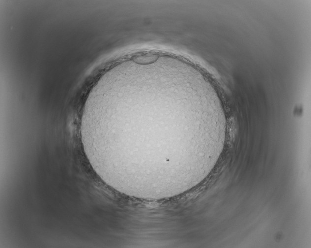 X0000116481495201001201331