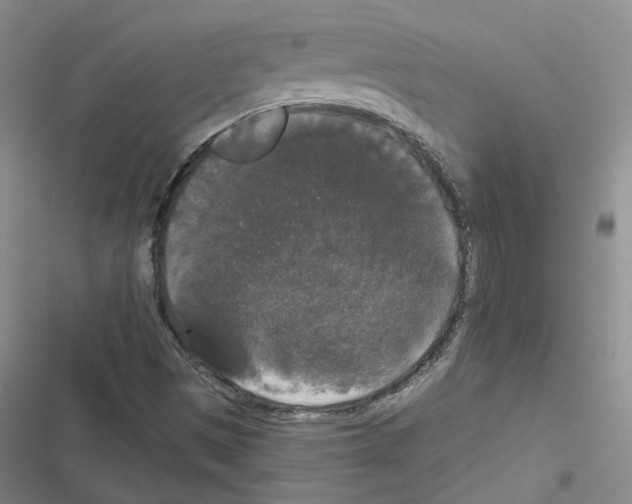 X0000116481497201001201331