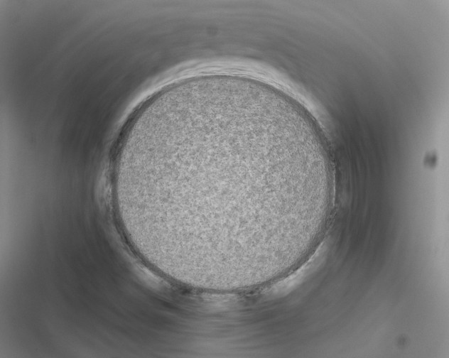 X0000116481498201001201331