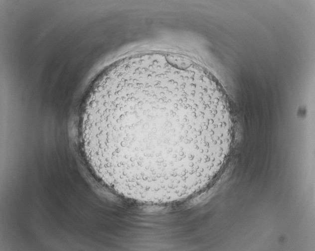 X0000116481499201001201331