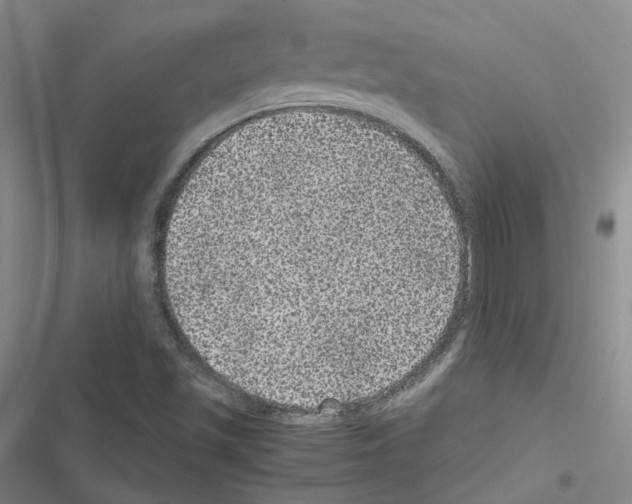 X0000116481501201001201331