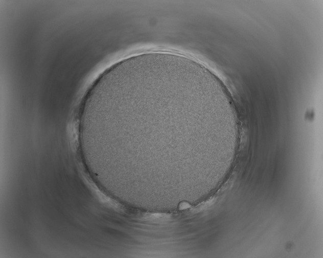 X0000116481503201001201331