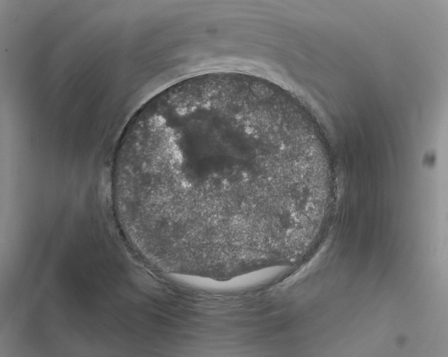 X0000116481505201001201331