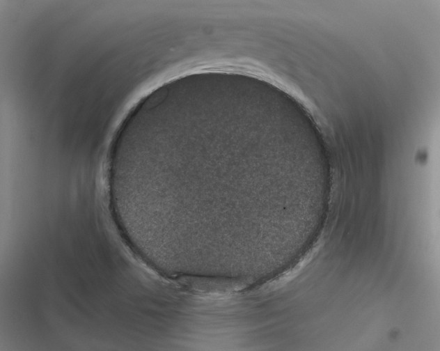 X0000116481506201001201331