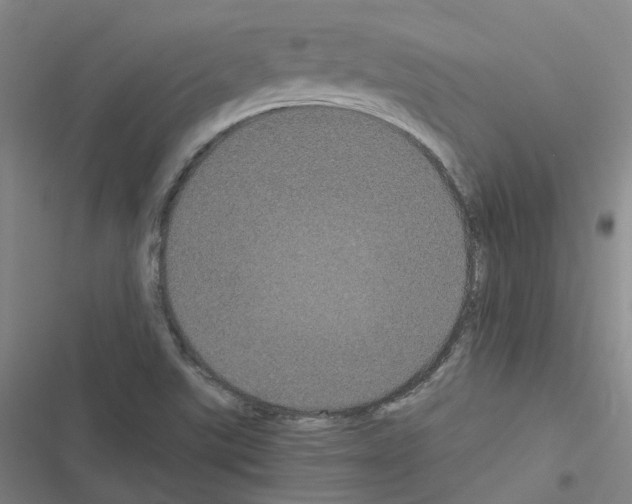 X0000116481507201001201331