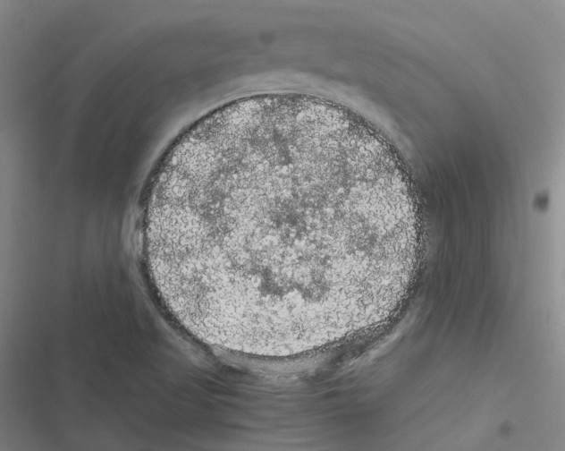 X0000116481509201001201331