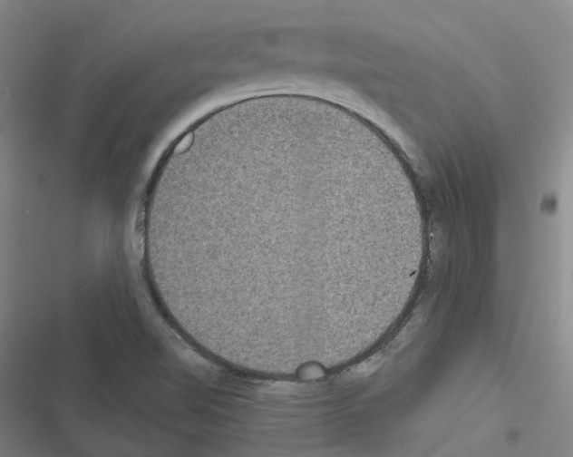 X0000116481510201001201331