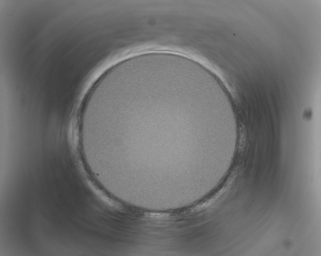 X0000116481511201001201331